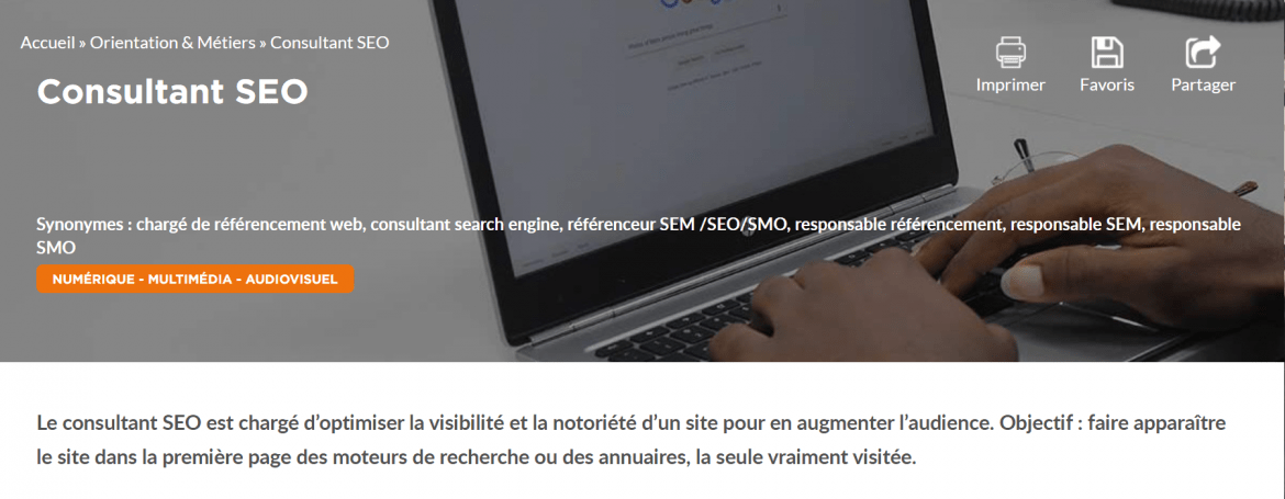 fiche métier consultant seo